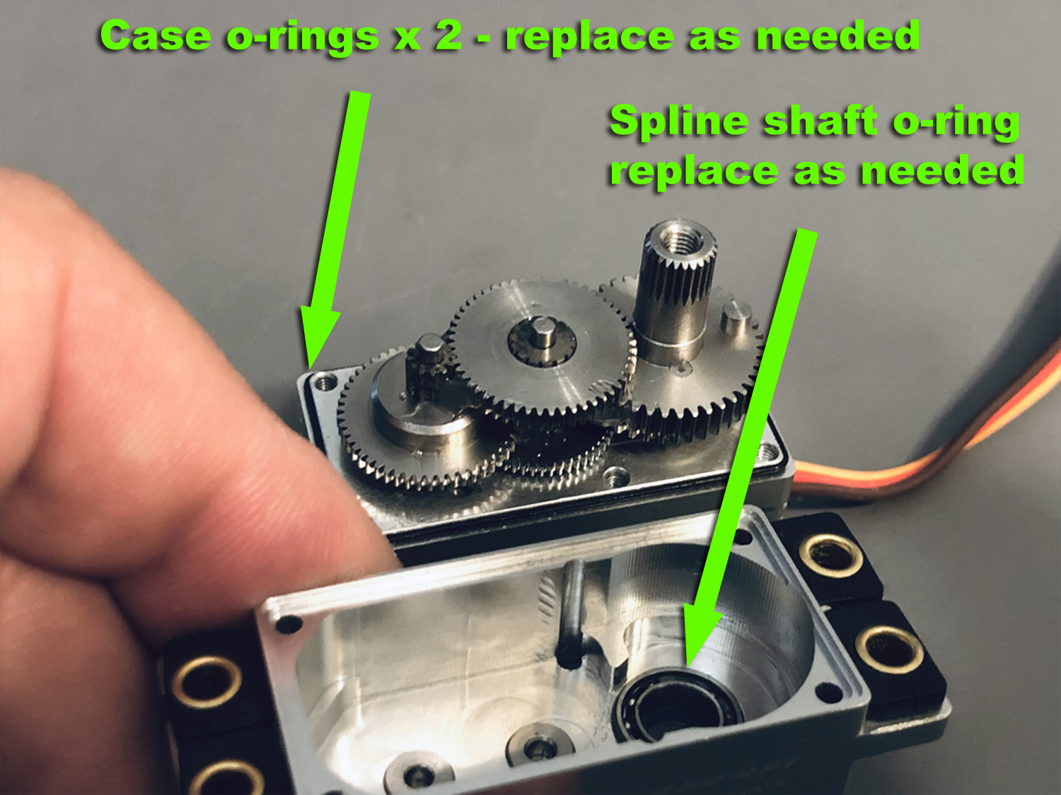 Close up photo of ProModeler DS505 gearset repair showing the case o-rings